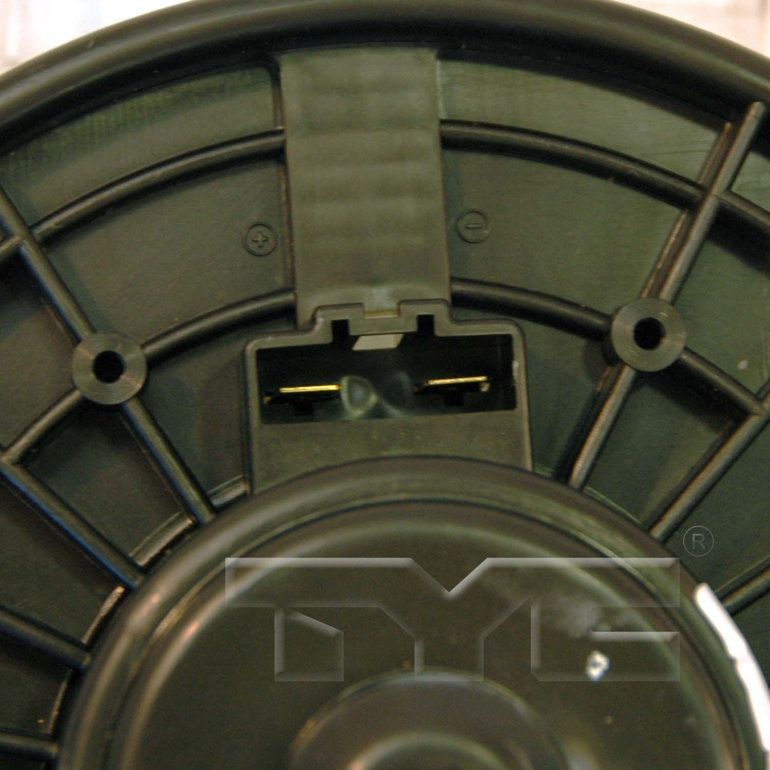TO3126115 (TYC 700112)