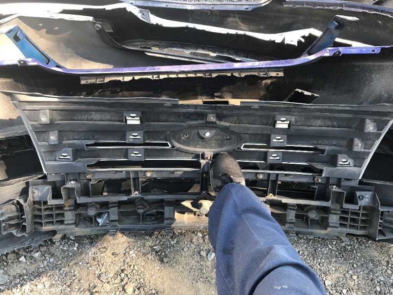 Parrilla usada original (OEM) Ford Edge 2007-2010